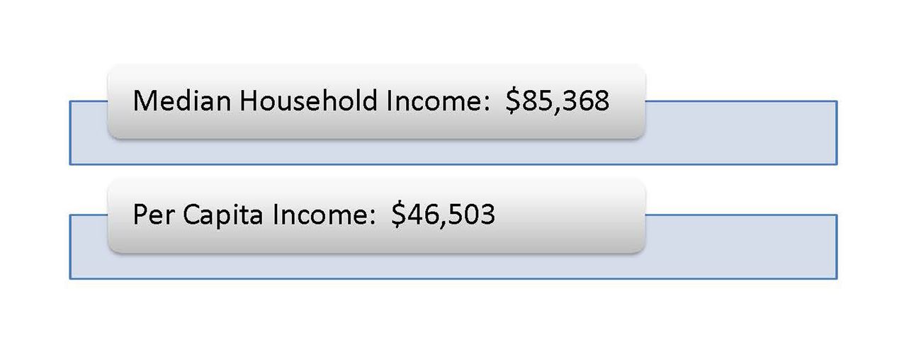 Blocks with white background with black font.