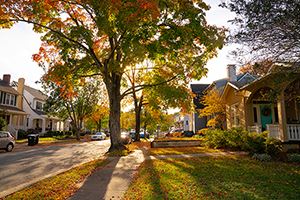 Single family homes along residential street.